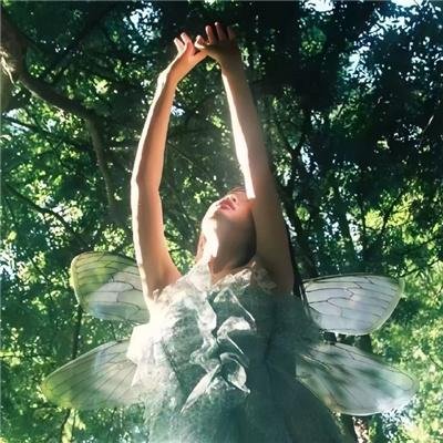 莲花攻略手册 动态漫画